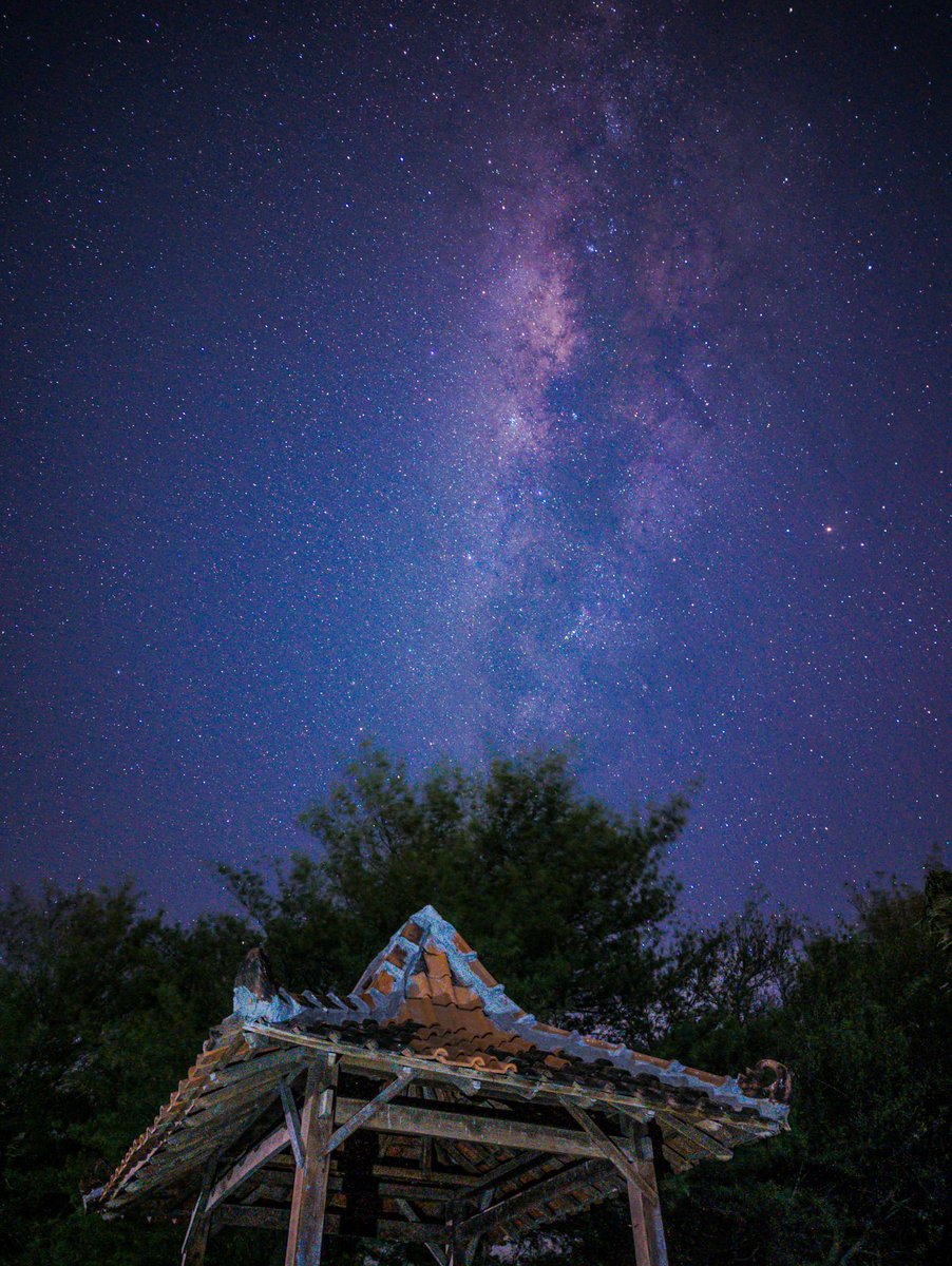 nadia¹ᴰ tweet media