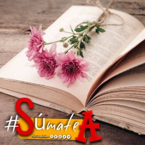 valles_ern56980's tweet photo. #SumateA disfrutar de un buen libro
#66Rasones
#IzquierdaLatina
#IzquierdaUnid15 https://t.co/tfWSmyEE2b