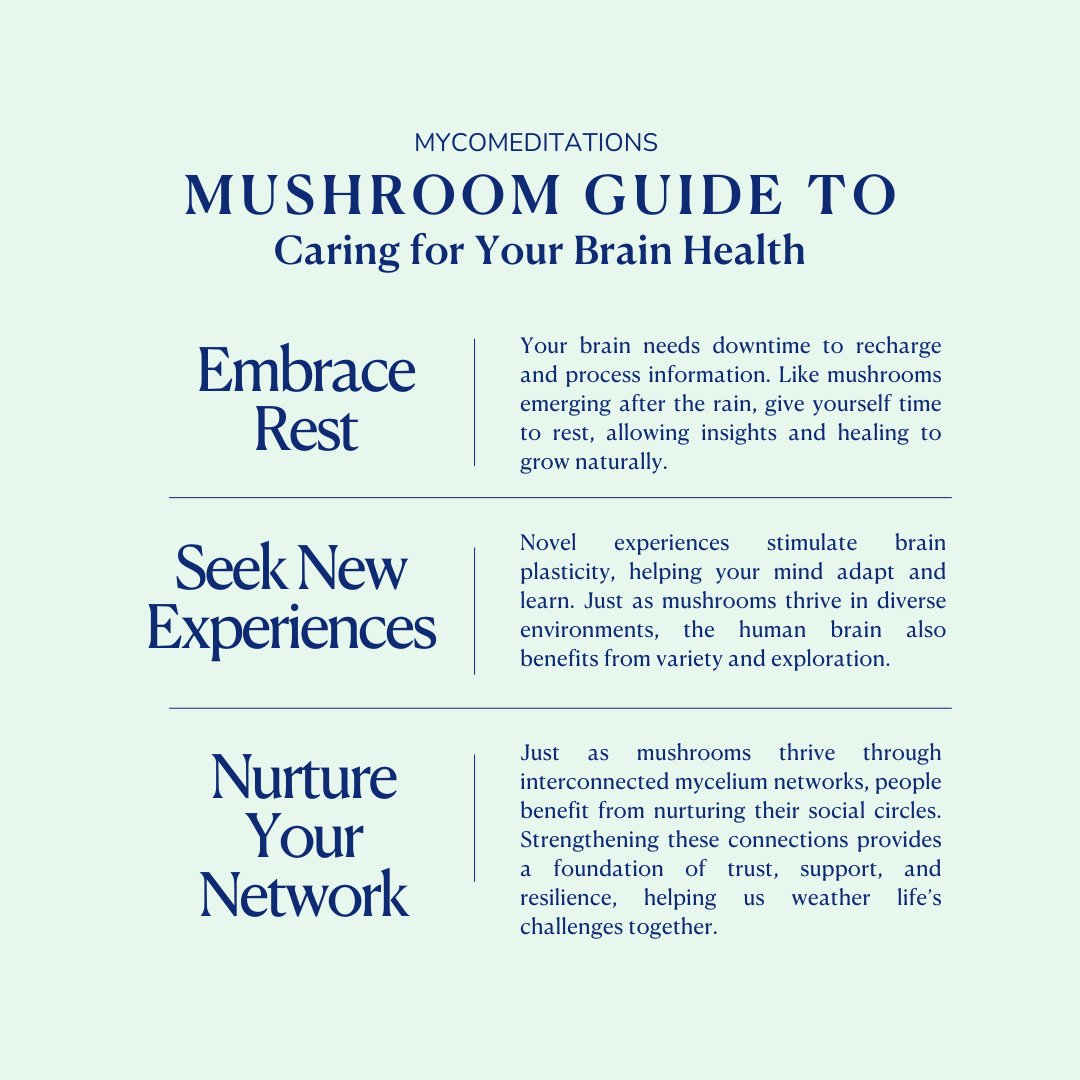 MycoMeditations's tweet photo. We can learn a lot from our friend the mūshroom. #brainhealth #mentalhealth #nurture #nature #rest #recover https://t.co/VfSmZGciqP