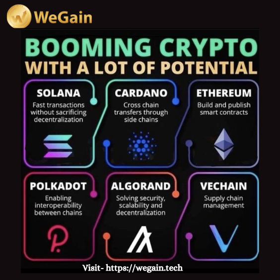 Booming Crypto With A Lot of Potential.     
Visit- wegain.tech 

#cryptocoin #earnings #wegain #cryptotrading #cryptocurrency #cryptonewsdaily #cryptofund #wegainfund #cryptoexchanges