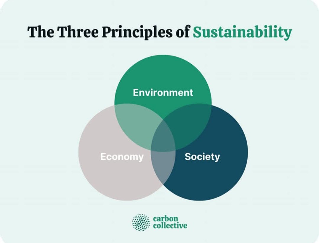 Azka908's tweet photo. #CMClimateInternship
#YouthForSustainability
#GreenPunjabVision
#ClimateLeadersPunjab
#CMClimateInternship
#EPDClimateWarrior https://t.co/C1mcUZQ3ss