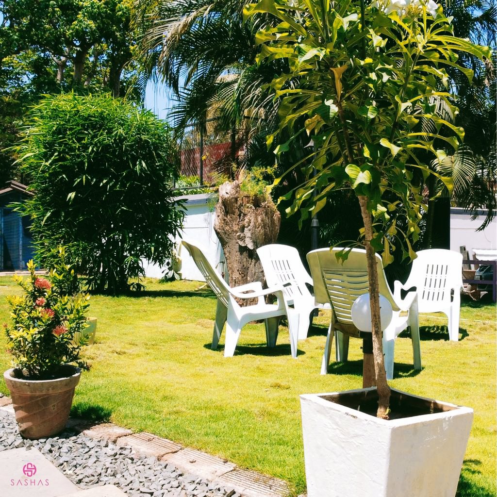SashasHoliday's tweet photo. 𝗭𝗲𝗻 𝗚𝗮𝗿𝗱𝗲𝗻 𝗩𝗶𝗲𝘄
Serene oasis with minimalist decor, lush greenery, and panoramic views, 𝒊𝒏𝒗𝒊𝒕𝒊𝒏𝒈 𝒑𝒆𝒂𝒄𝒆 𝒂𝒏𝒅 𝒓𝒆𝒍𝒂𝒙𝒂𝒕𝒊𝒐𝒏 🌺✨

#sashasHolidayVillage #mallakai_goa #bubble_goa #Wadispa_goa #goadiaries #goanparadise #goavibes #goaexplore #goa https://t.co/5TBtYEqACk