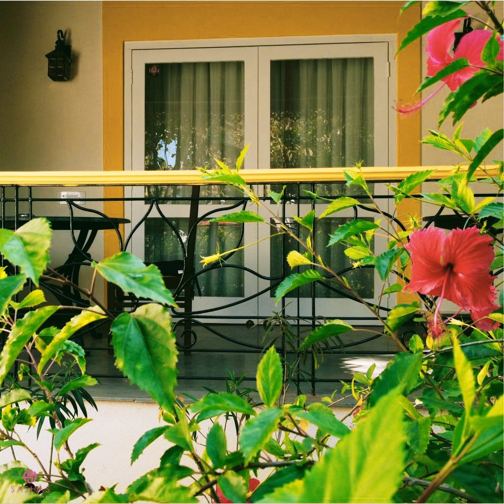 SashasHoliday's tweet photo. 𝗭𝗲𝗻 𝗚𝗮𝗿𝗱𝗲𝗻 𝗩𝗶𝗲𝘄
Serene oasis with minimalist decor, lush greenery, and panoramic views, 𝒊𝒏𝒗𝒊𝒕𝒊𝒏𝒈 𝒑𝒆𝒂𝒄𝒆 𝒂𝒏𝒅 𝒓𝒆𝒍𝒂𝒙𝒂𝒕𝒊𝒐𝒏 🌺✨

#sashasHolidayVillage #mallakai_goa #bubble_goa #Wadispa_goa #goadiaries #goanparadise #goavibes #goaexplore #goa https://t.co/5TBtYEqACk
