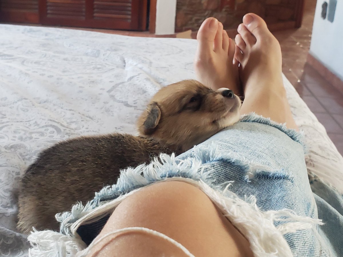 stacybarragan's tweet photo. @twaniimals https://t.co/nNyYbsLtYW