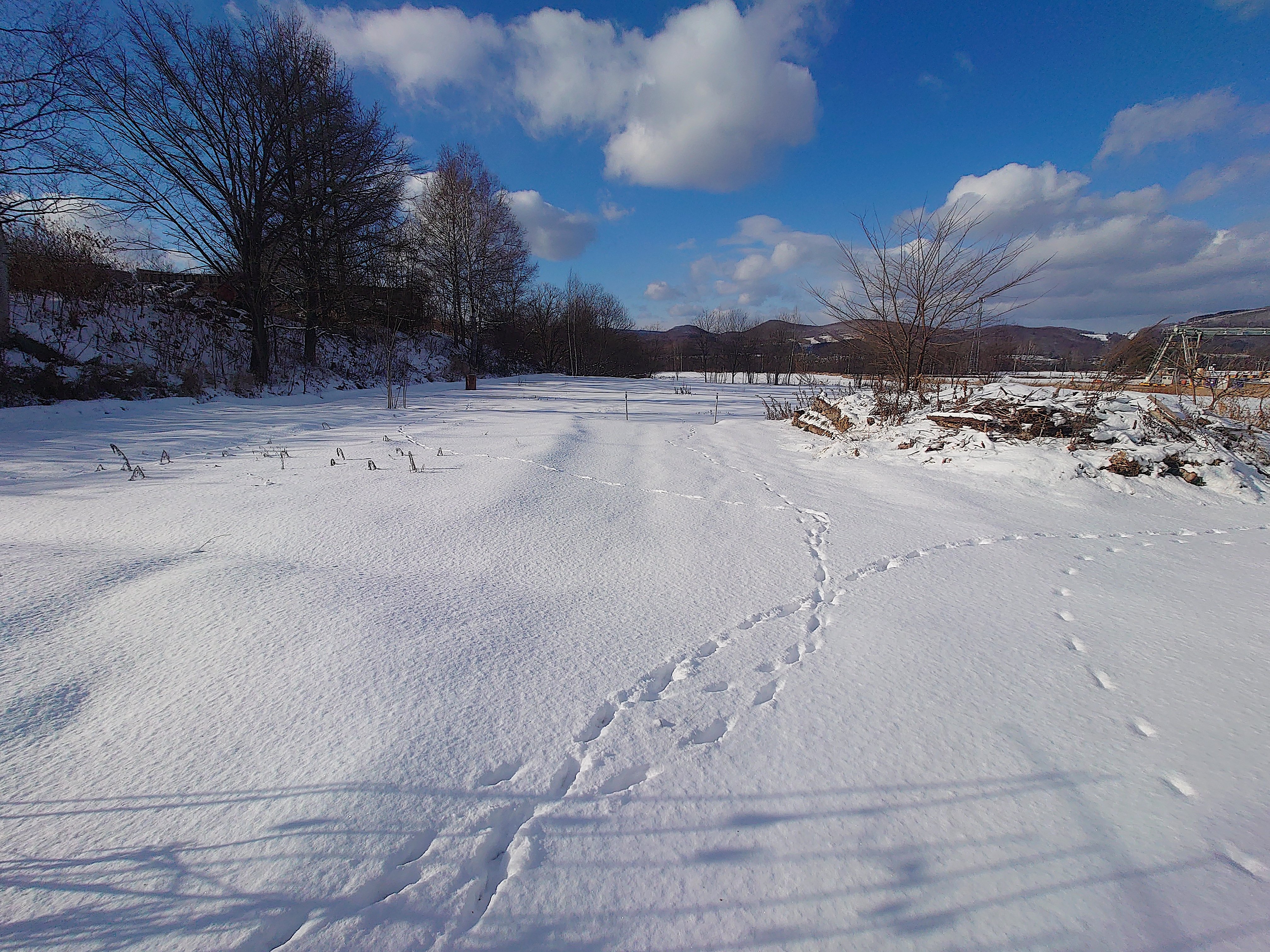 ❄オホーツク便り❄北海道遠軽町のKommonestに雪が積もりました