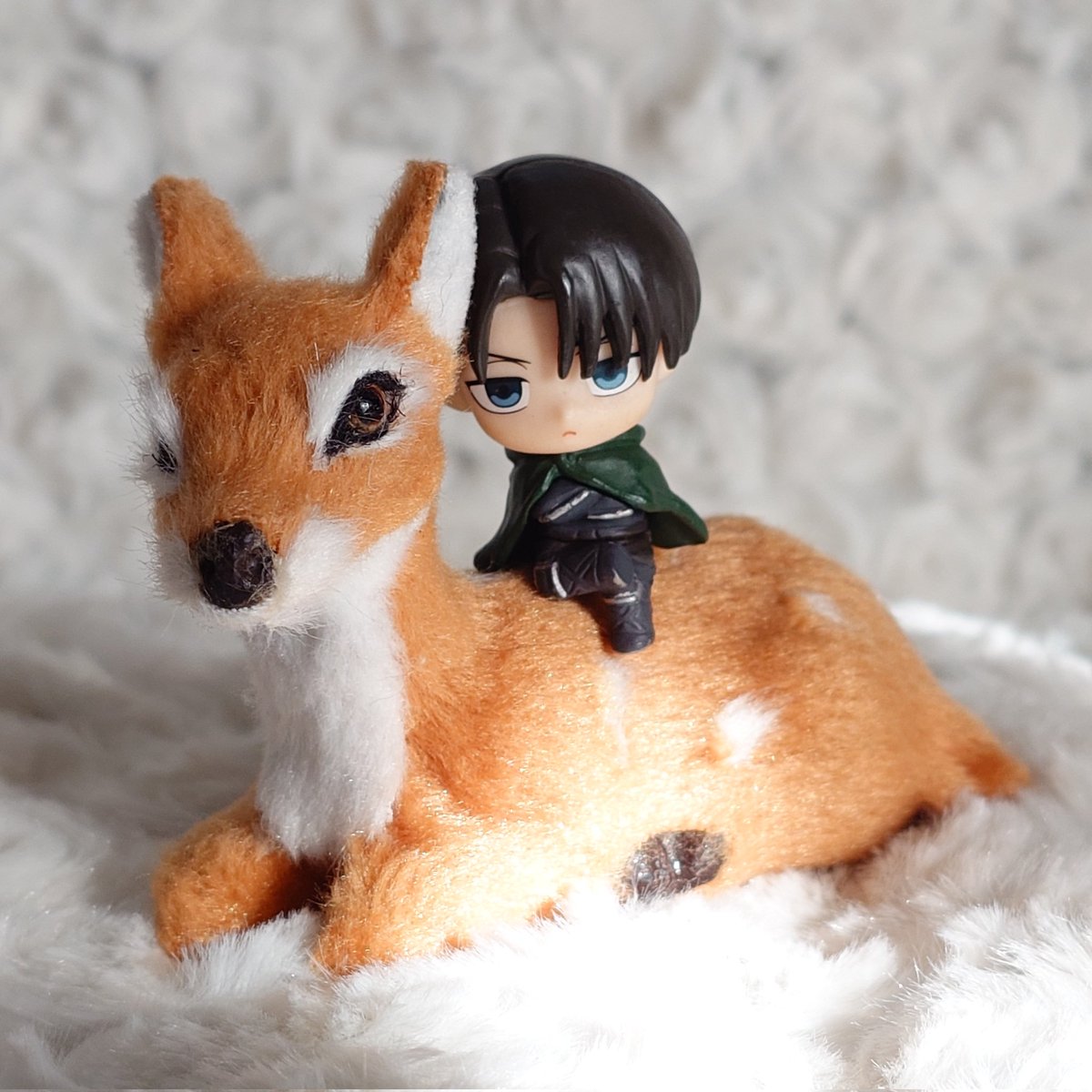 KTIxCCJdVRYgFzl's tweet photo. 俺はもともとなんでも乗る…🦌 https://t.co/VYBVAVdAxO