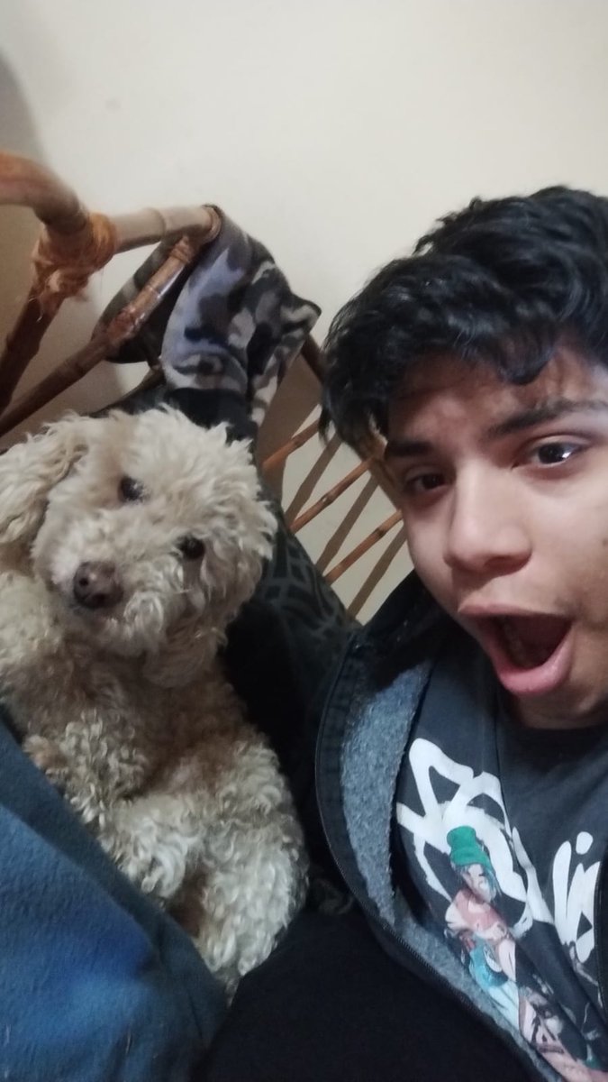 RumVoide's tweet photo. Gracias por todos estos años, te quiero mucho Odie. Te voy a extrañar muchísimo ❤️ https://t.co/8GpbuY4VPT