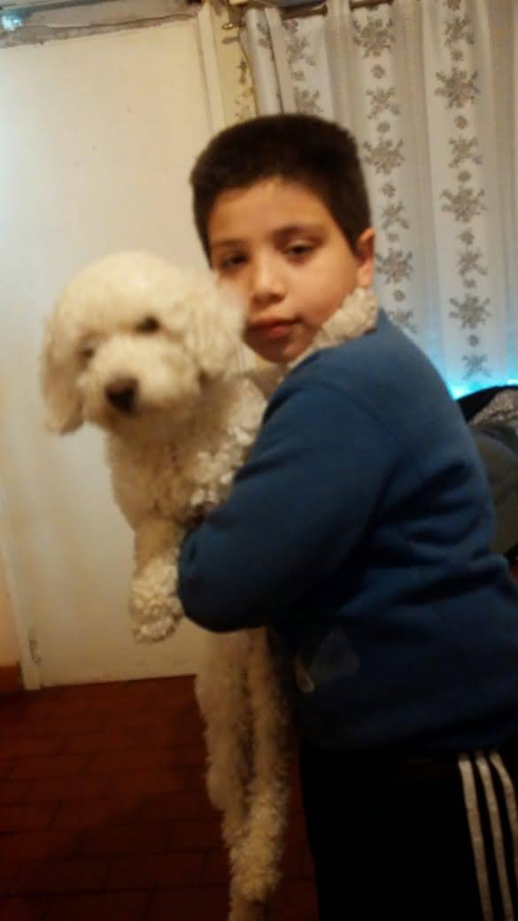 RumVoide's tweet photo. Gracias por todos estos años, te quiero mucho Odie. Te voy a extrañar muchísimo ❤️ https://t.co/8GpbuY4VPT