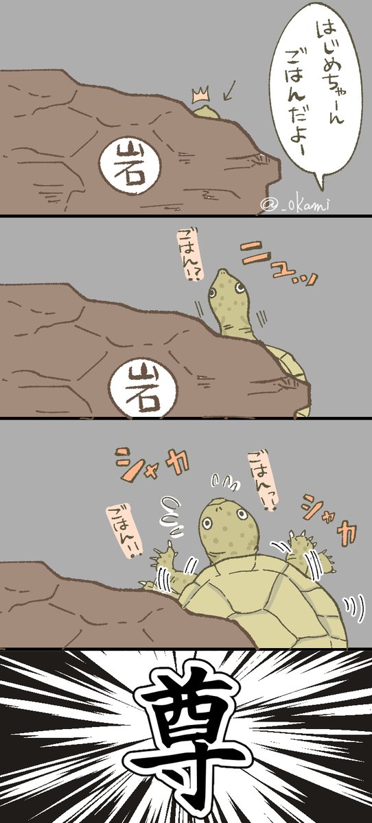 亀ってほんと表情豊か
#亀 #カブトニオイガメ 