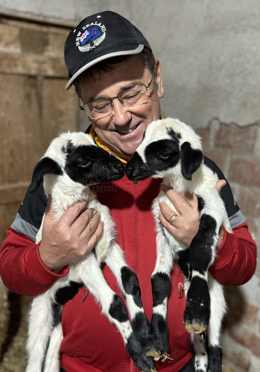 Av. Muhammet Tokat tweet media