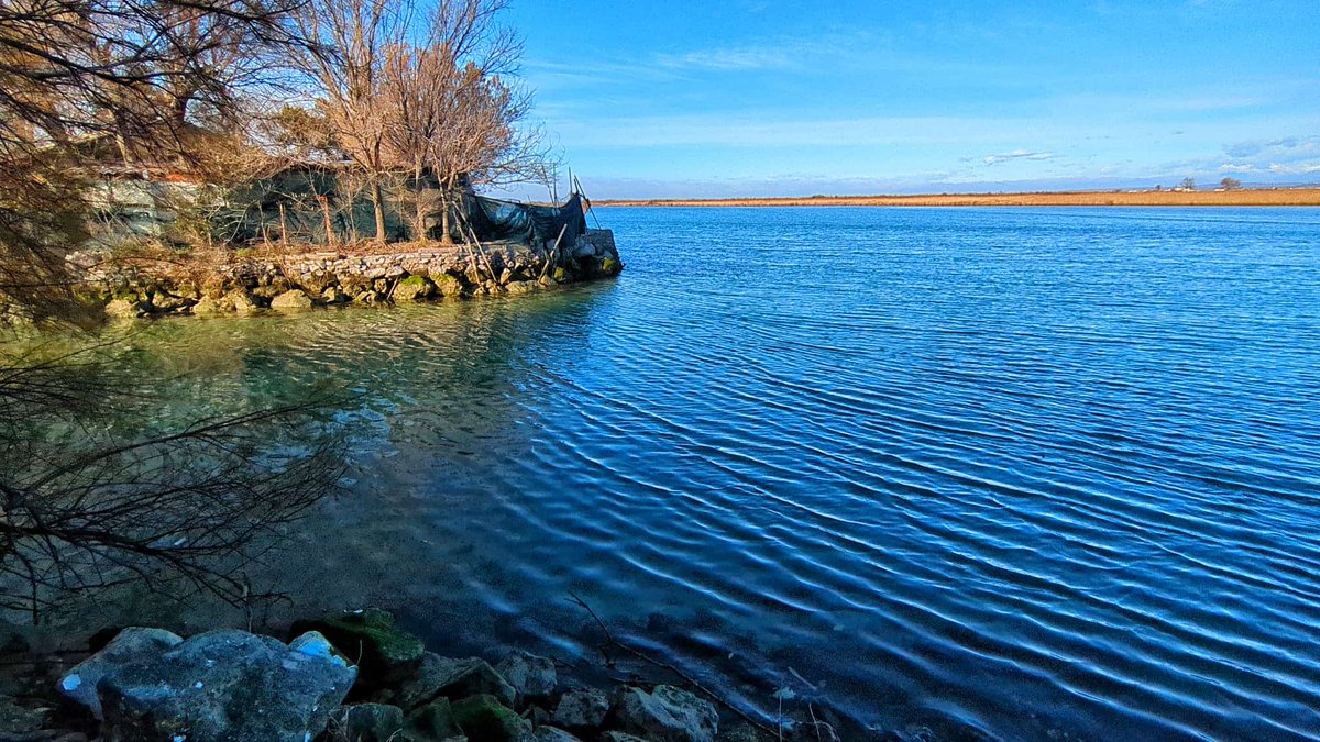 PaolaTreppo's tweet photo. Punta Sdobba è un angolo di paradiso in comune di #Grado che si raggiunge da #Fossalon. È un pittoresco villaggio di pescatori 🎣 nato durante le bonifiche dei primi decenni del 1900, meta ideale per fare passeggiata in inverno
@VisitFVG @Italia https://t.co/QeUZwt8v1K
