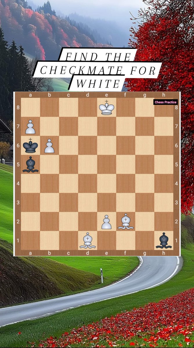 MadhurKapoor12's tweet image. #Chess #Grandmasters

courtesy - Chess Practice