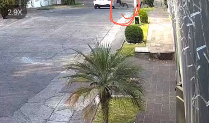 Yobviss's tweet photo. Casi al lado pasa un coche de seguridad de la colonia y el vecino que pasó con el perro se queda en la esquina y les da aviso. https://t.co/M9DO9GRueT