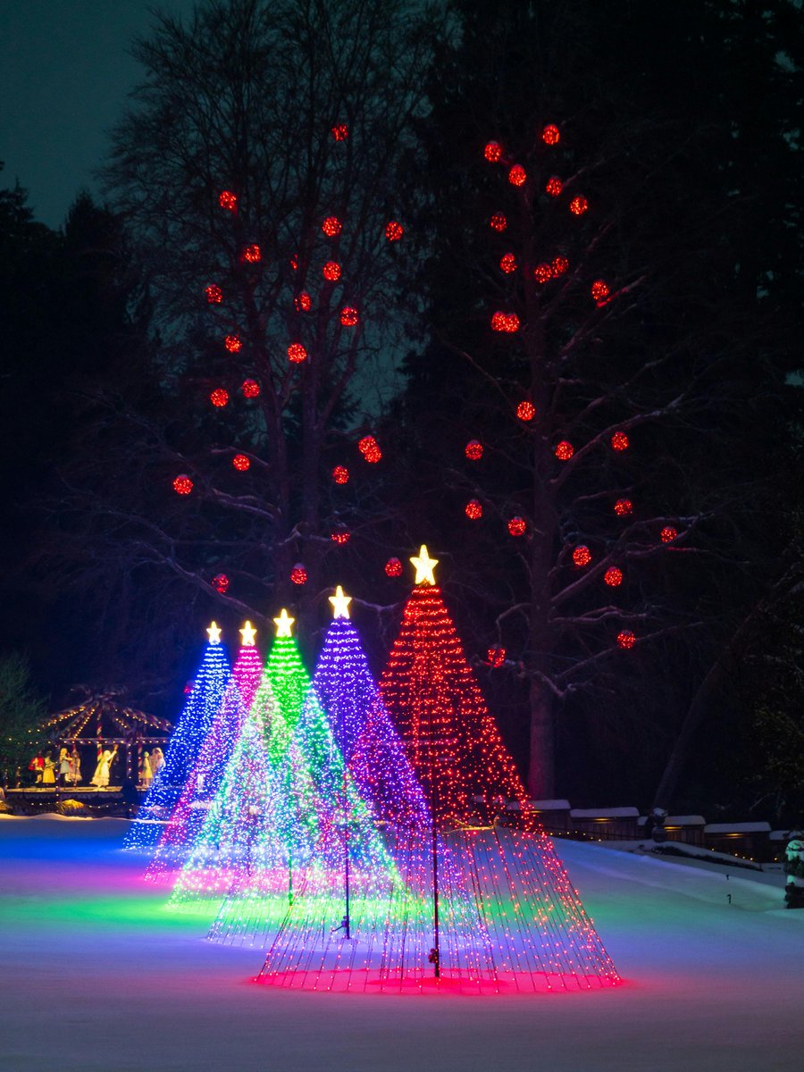 RAAKLEDLIGHT's tweet photo. ❄️✨ Brighten your winter holidays with stunning lights from https://t.co/cnnPvIinYP! ✨❄️
From festive LED string lights to cozy indoor glow, we have everything to make your season magical.
#WinterHolidayLights #RAAKLEDLighting #LEDLighting #HolidayMagic https://t.co/iGM4XwOhzc