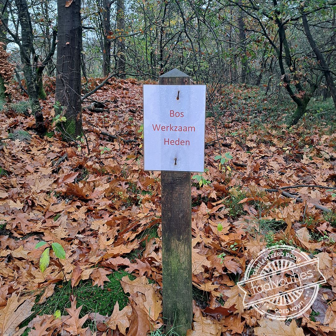 Taalvoutjes tweet media