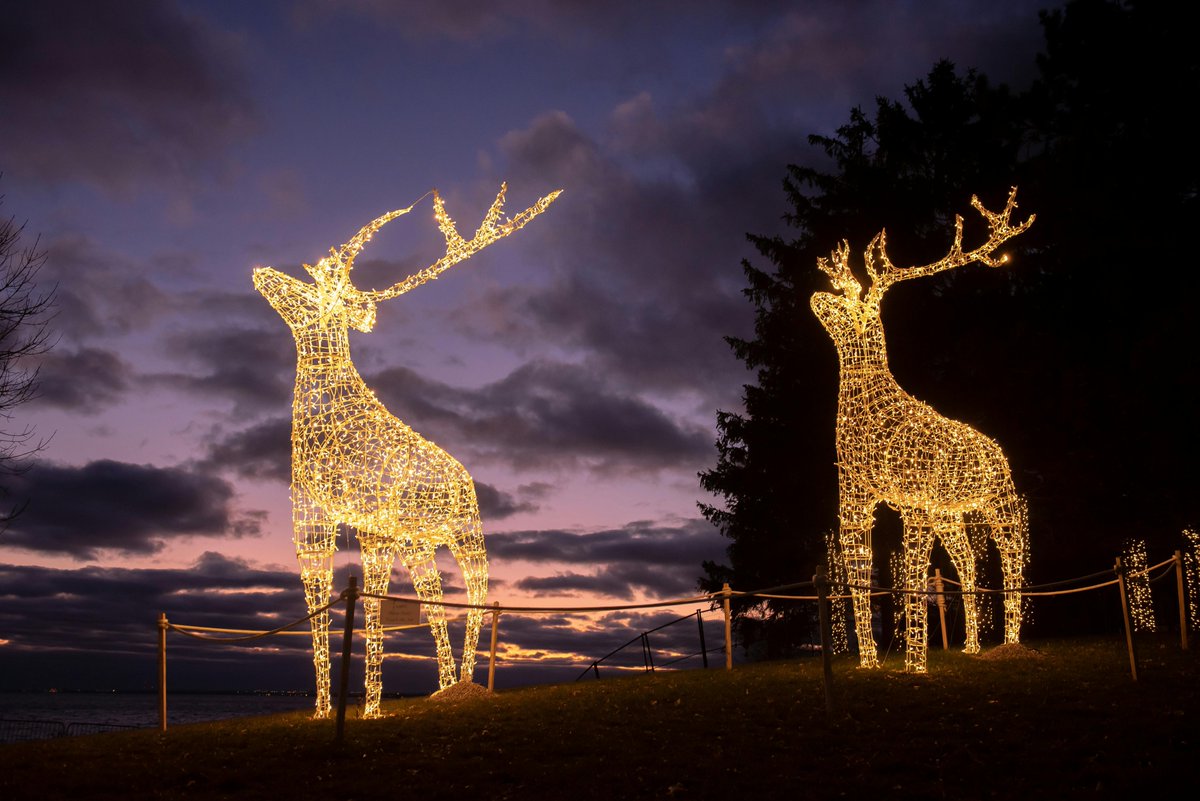 RAAKLEDLIGHT's tweet photo. 🎄✨ Brighten your holidays with Christmas lights from https://t.co/cnnPvIhQ9h! ✨🎄
From sparkling string lights to vibrant outdoor displays, our LED solutions bring joy and magic to your celebrations.
🎁 #ChristmasLights #RAAKLEDLighting #HolidayDecor #FestiveVibes https://t.co/AjQ3TOzs0T