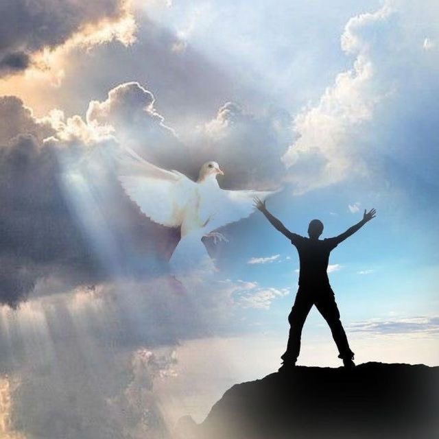 George_Abdallah's tweet photo. حزقيال ٣٧ : ٥، ٦
 هَكذا قالَ السَّيِّدُ الرَّبُّ لهذِهِ العِظامِ: هأنَذا أُدخِلُ فيكُم روحًا فتحيَوْنَ.  وأضَعُ علَيكُمْ عَصَبًا وأكسيكُمْ لَحمًا وأبسُطُ علَيكُمْ جِلدًا وأجعَلُ فيكُم روحًا، فتحيَوْنَ وتَعلَمونَ أنّي أنا الرَّبُّ». 

هلُم يا روح الله تعال كرياحٍ عاصفة 🙏🏼 https://t.co/AYIBEceH1X