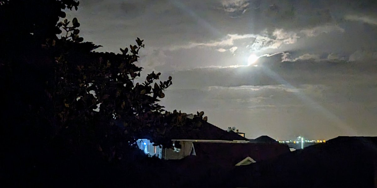 David Gibbons tweet media