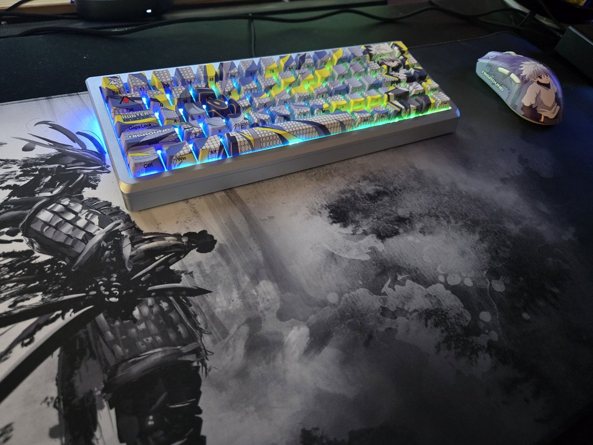 MPian89's tweet photo. New pickup @higround kilua keyboard and mouse 
#anime #hunterxhunter #gamer #kbm #setup #gamer https://t.co/UtjeUPA6Yu