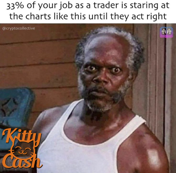 KittyCash_20's tweet photo. GM KittyCash fam #kittycash #fractalbitcoin #Satspumpfun #Unisat #dotswap #cat20 #buybot https://t.co/eTLS0imSxp