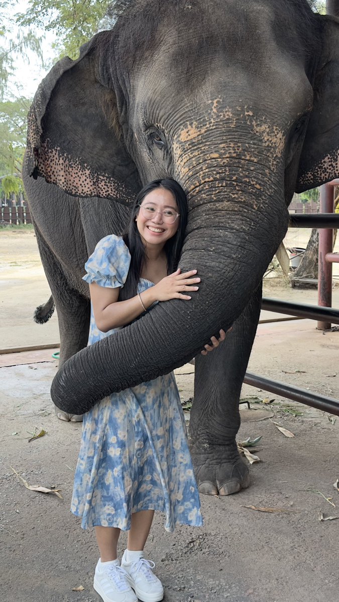 charrypagee's tweet photo. Kompleto na ang THAILAND trip ko. 🐘
skz. trejo. & elephant 🐘
#MuangBoran
#TheAncientCity 🇹🇭 https://t.co/Iqsb5XsIUo