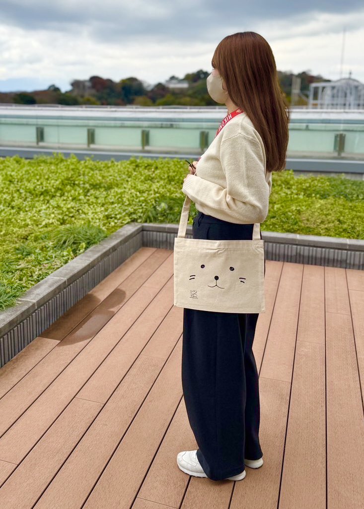 お城EXPO2024 情報📣/ #お城EXPO より初登場の「#ひこにゃん どあっぷ