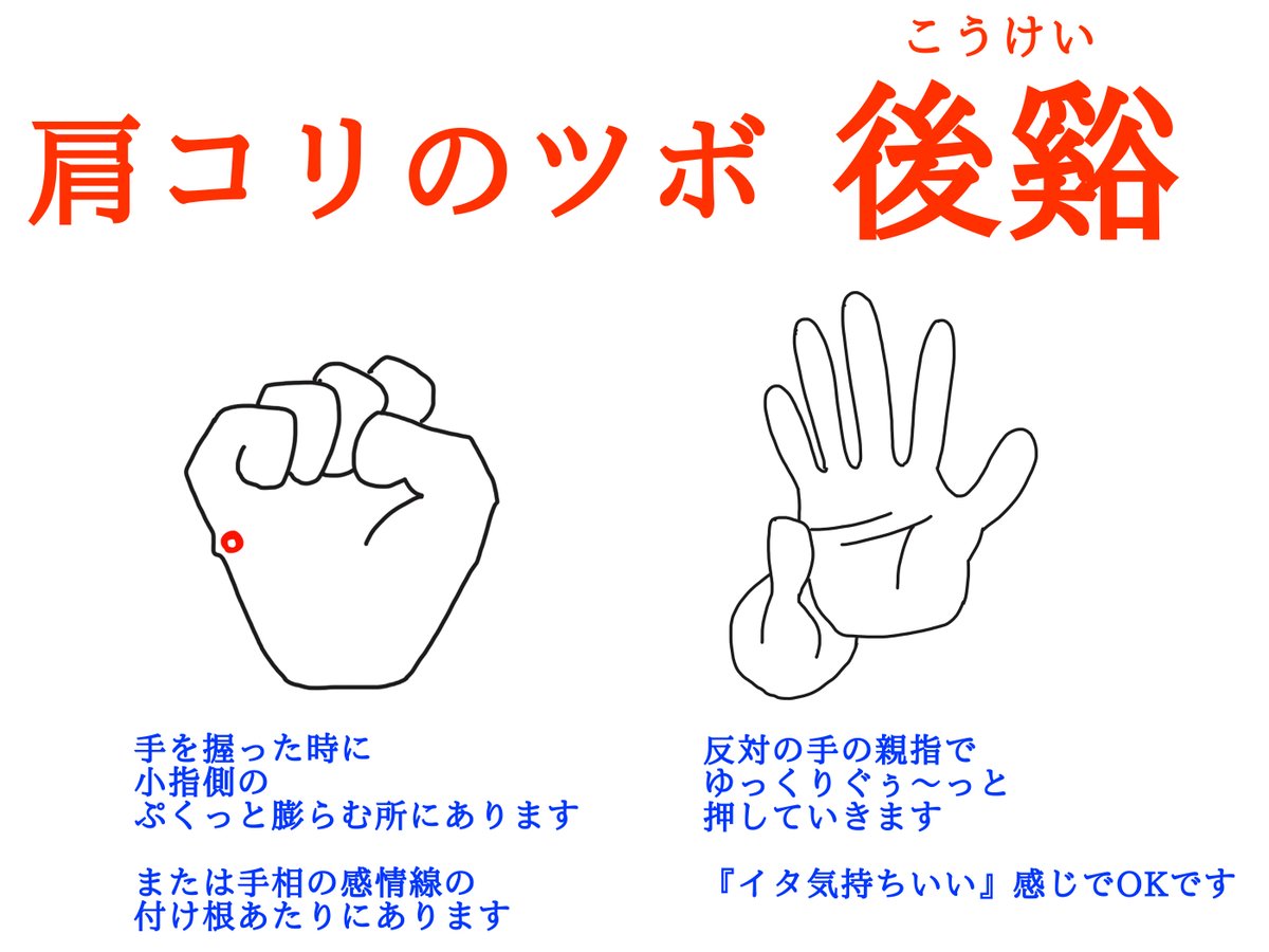 おはようございます!
今朝はツボ紹介です

肩コリのツボを刺激して
今日もがんばりましょう(^^) 