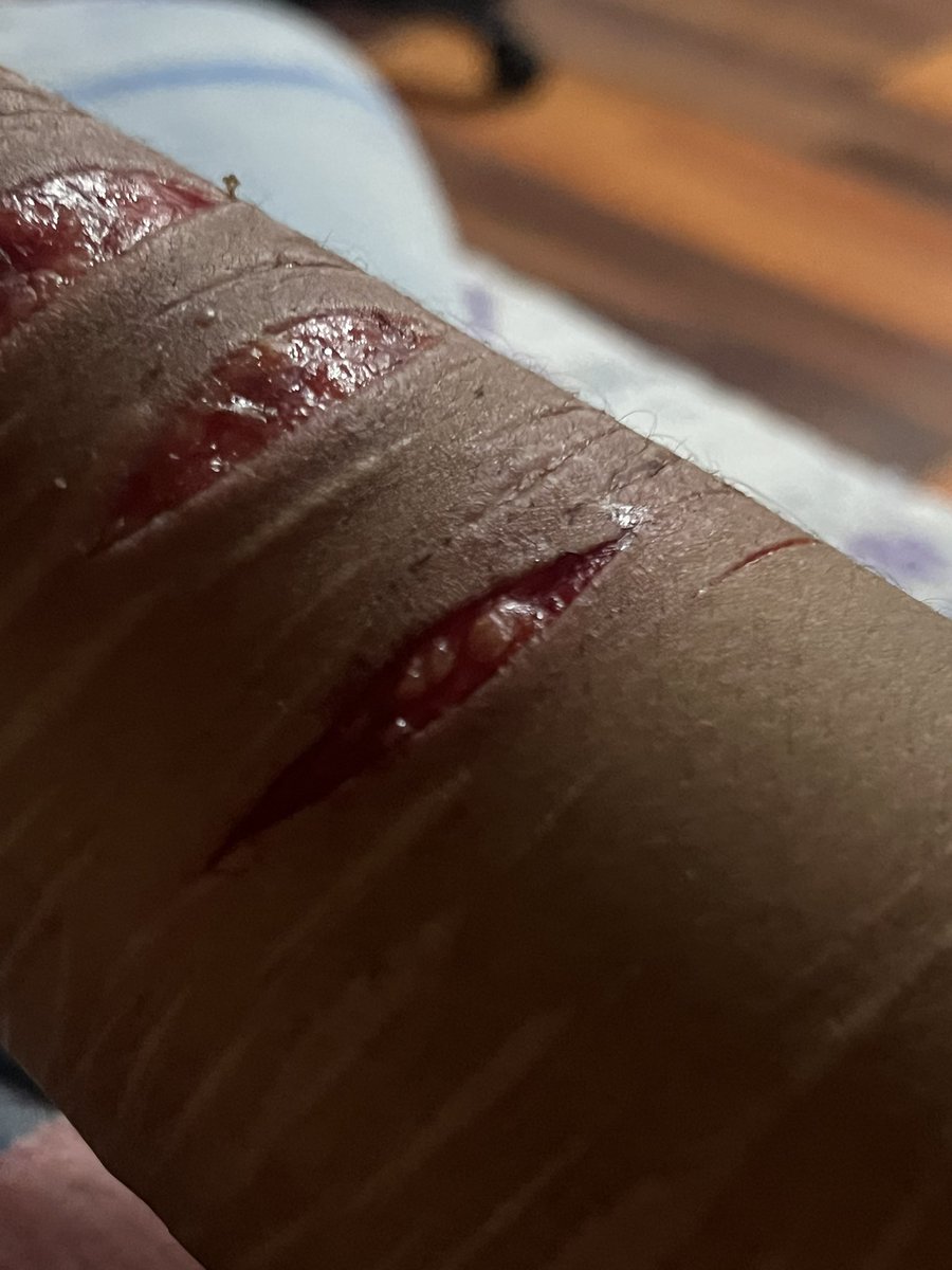 venus shedtwt tweet media