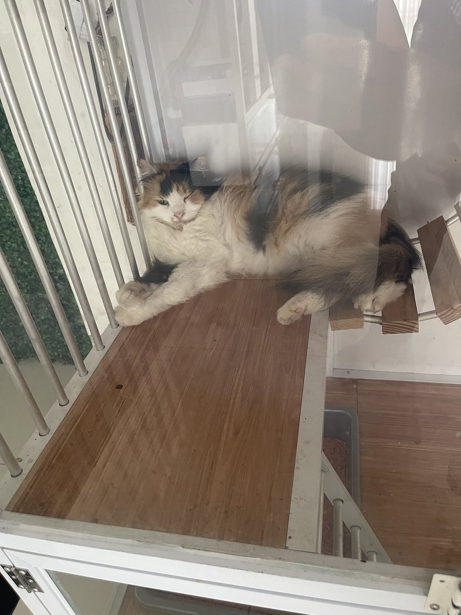 Ini mksdnya? 🥹🥲