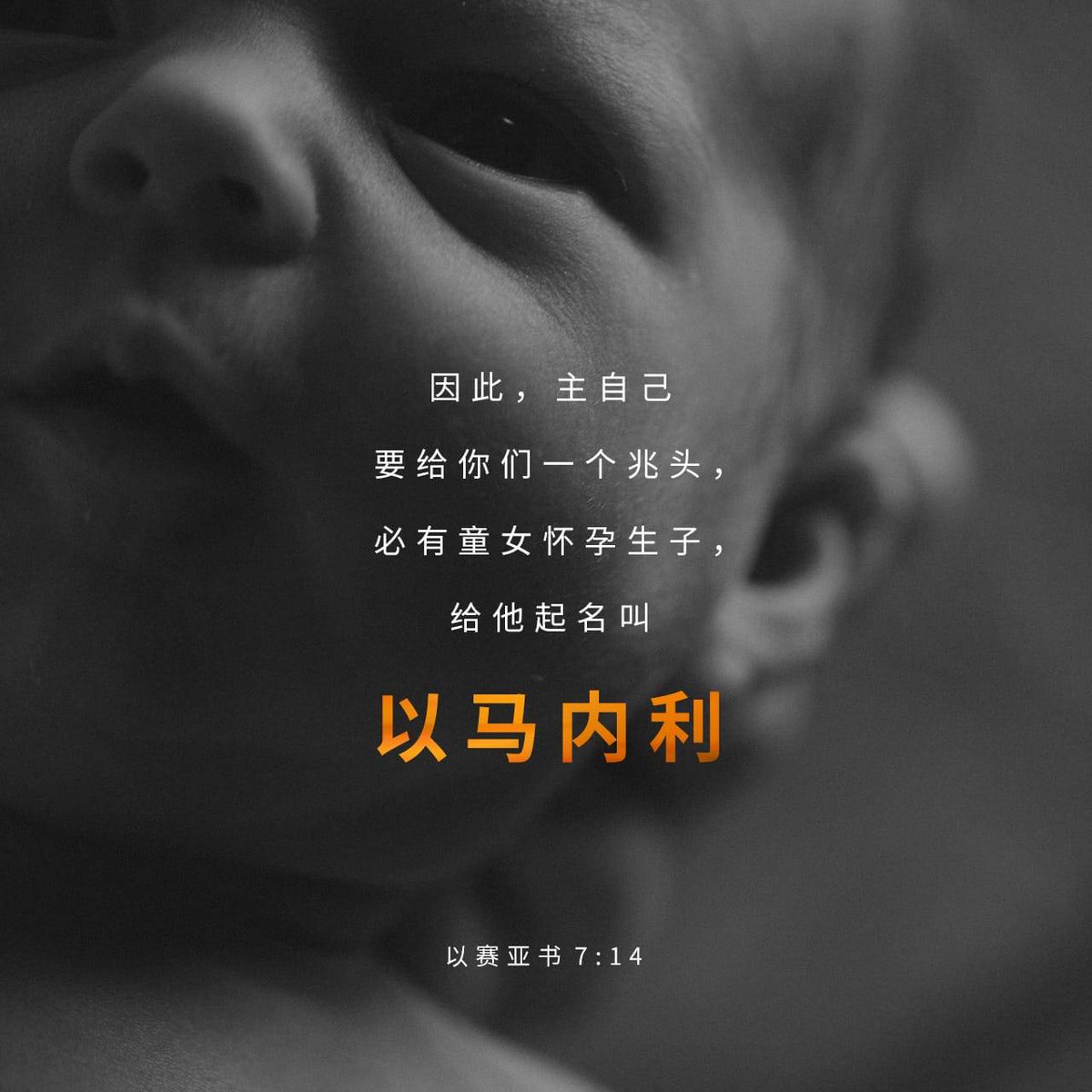Jetfuchin1's tweet photo. https://t.co/EPgwXDiJmh https://t.co/VsT1FZ3Vpi