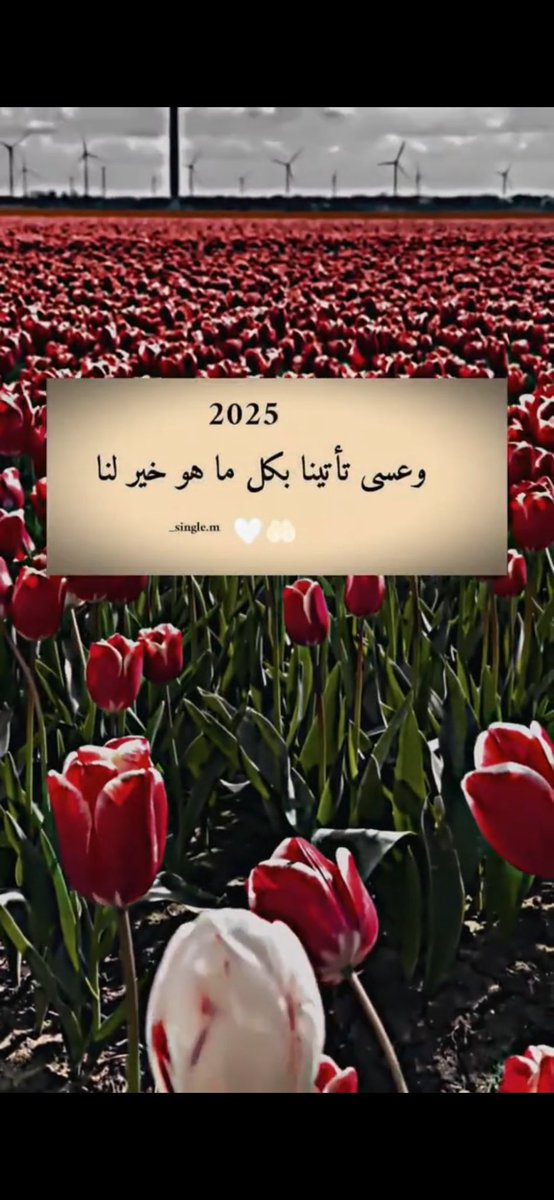 Eyad (@eyadalkhateed) on Twitter photo 