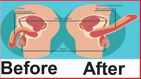 Mr Health💊💉 tweet media
