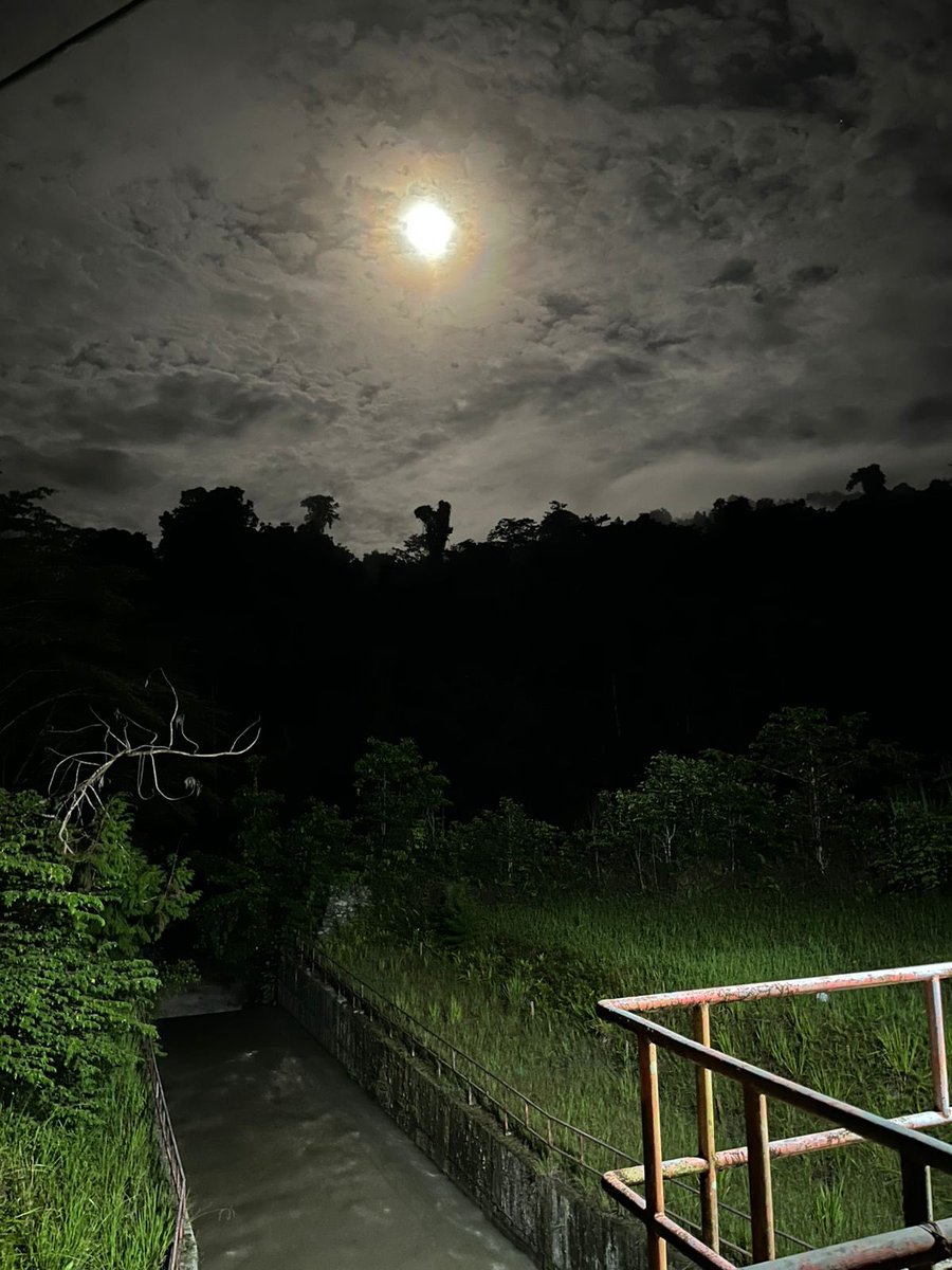 icalianti's tweet photo. Bulan di jayapura 🥹 https://t.co/Zk3U2JKsn3