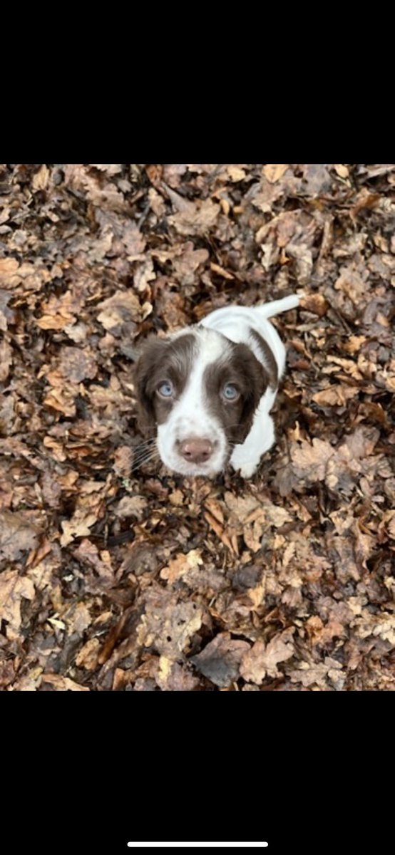 AshleyCoyle's tweet photo. Missing my baby gal https://t.co/MfyaTdeXLR