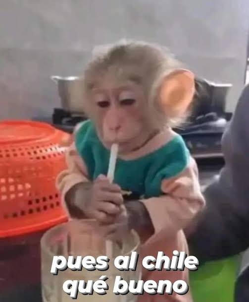 Estradamyers's tweet photo. Ya están funando otra vez al pendejo de Memo Aponte https://t.co/nNZr8xUH90