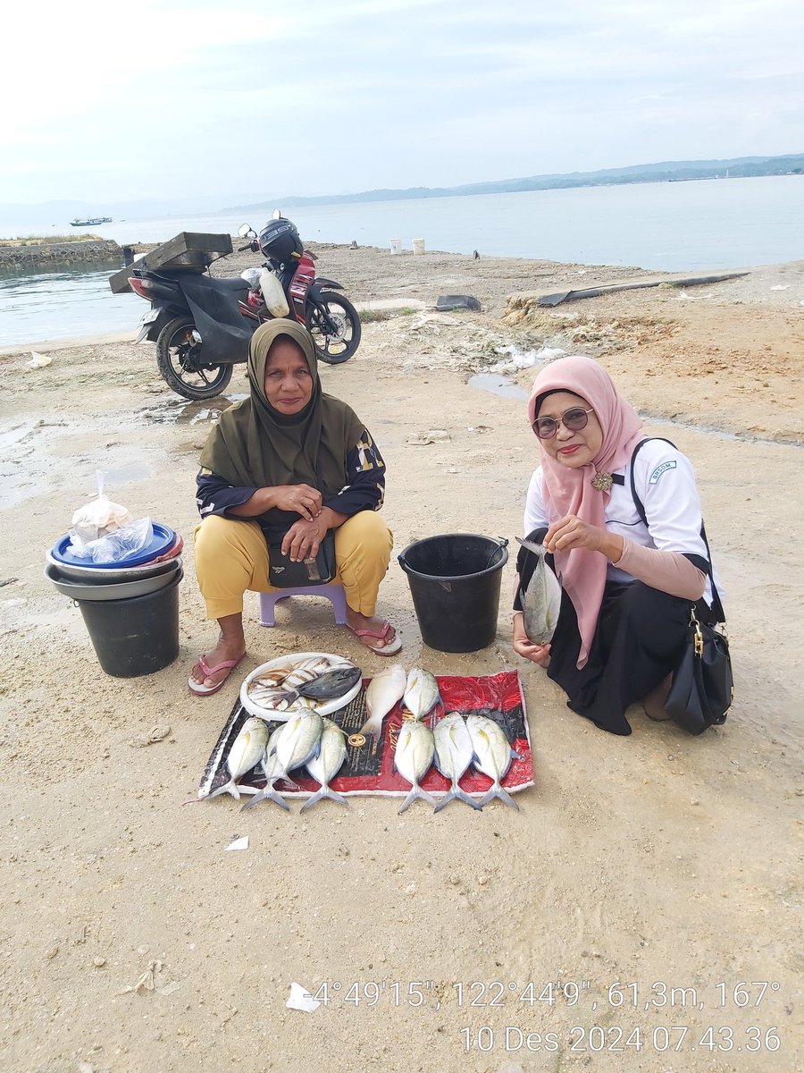 AsrianiBone's tweet photo. Selasa (10 /12/2024), Asriani Luhkan Kab Muna, Pendataan Produksi hasil tangkapan pancing dan pukat pada KUB Empang Jaya ikan putih 4 kg  Harga Rp. 200.000.
#GiatLuhkanSatminkalMaros
#MunaLuhLapor
#BPPSDMKP
#BRPBAPPP_MAROS
#PUSLATLUHKP https://t.co/hWMfYxXTO5