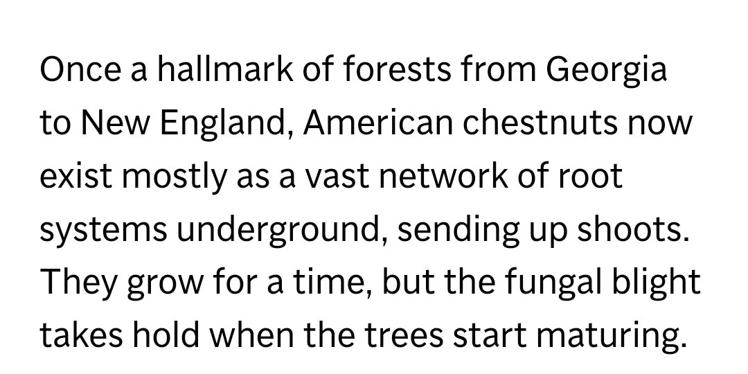 naturgeschichtlich (@la_leere) on Twitter photo 