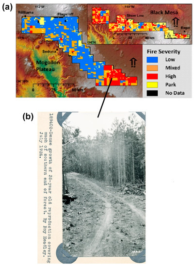 Fire_MDPI's tweet photo. #firemdpi
🔥Countering Omitted Evidence of Variable Historical #Forests and #Fire Regime in Western USA Dry Forests: The #Low_Severity_Fire Model Rejected
👉https://t.co/uifmpWyLq4
#ponderosapine; #fireregime; #mixed_severity_fire https://t.co/T5hB49lOC5