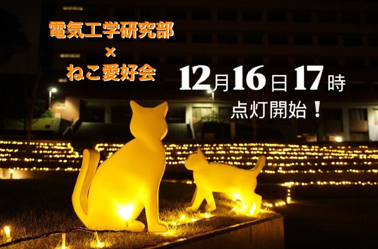 _worldneko's tweet photo. お知らせ⋆͛📢⋆

先日予告していたコラボ相手は…

『 電気工学研究部 』 でした‼️🌟

毎年九産大を光に包んでくれている電工研さんにお声掛け頂き、素敵な企画をお手伝いさせて頂きました❕

今日からぜひ学内の沢山のねこちゃん達を探して #灯篭を撮ろうにゃー を付けて投稿してくださいね🐱💕︎ https://t.co/OwPonSkWgr