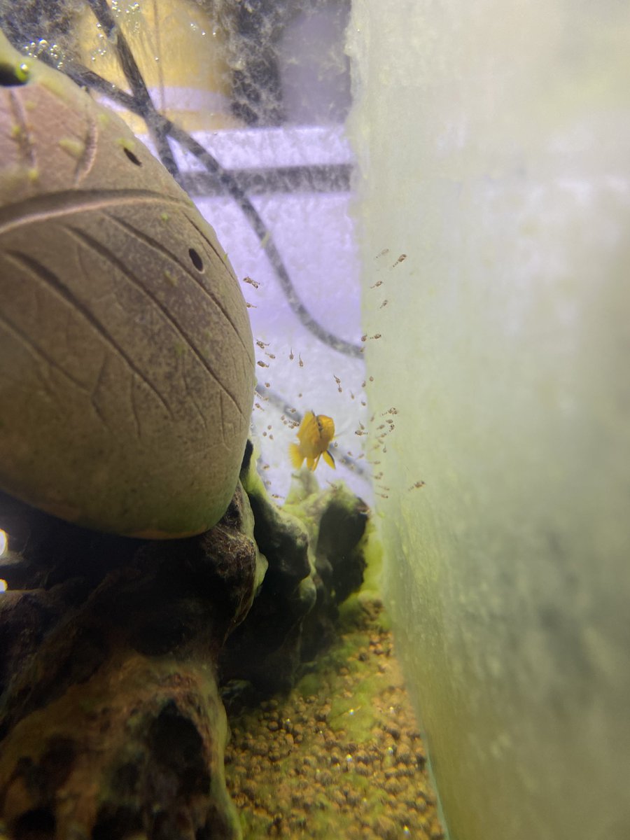 浮上！！

アピスト先輩方に色々教わったおかげで
なんとなくですが、コツがわかったような気がします！！