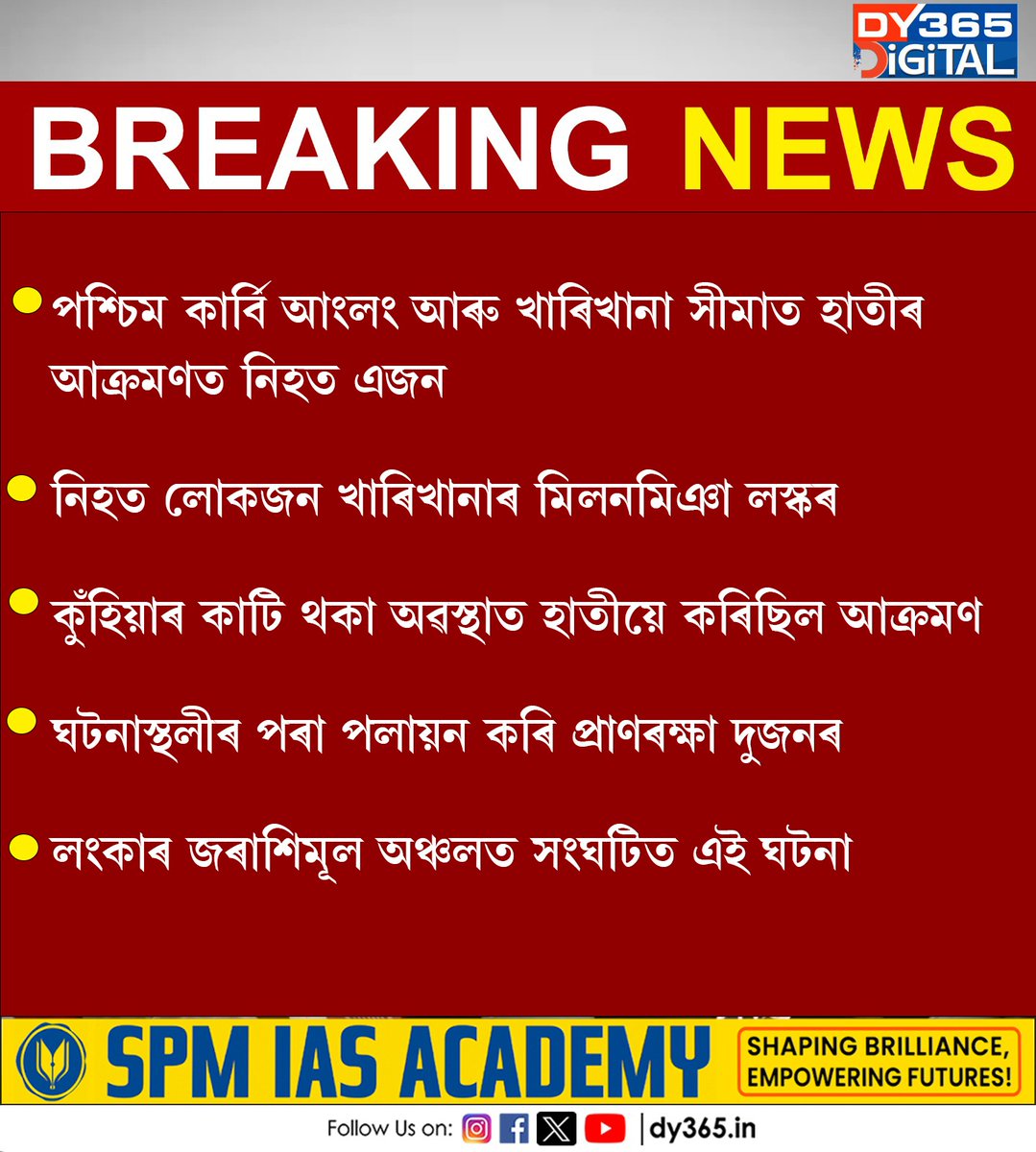 DY365's tweet image. #karbianglong #elephant #dy365