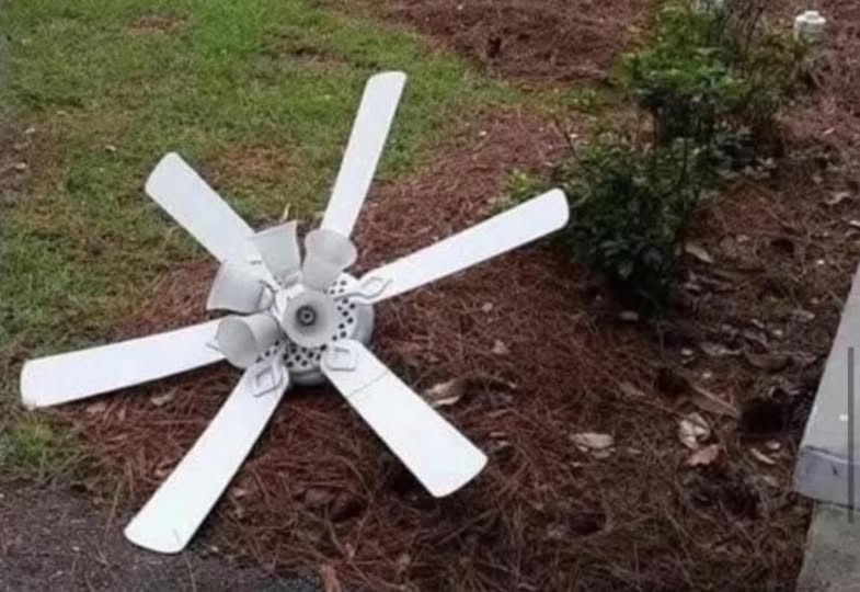 I found one of those drones they have been talking about.