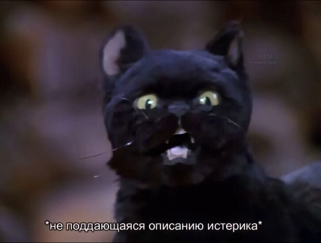 Молюсь на бедра Чанбина (@ycyourheart) on Twitter photo 