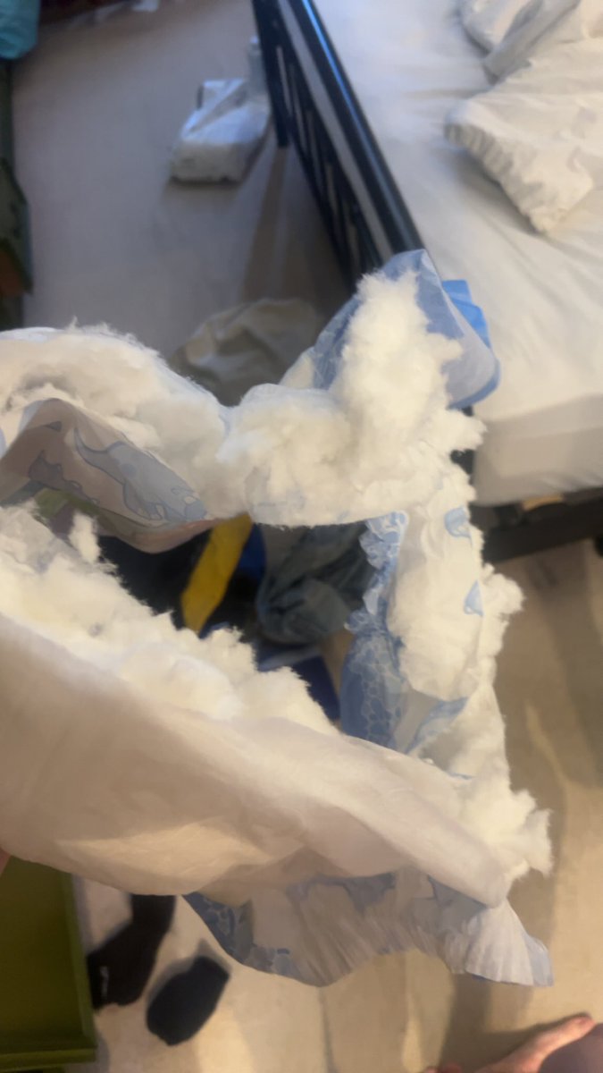 ryan 🇵🇸 tweet media