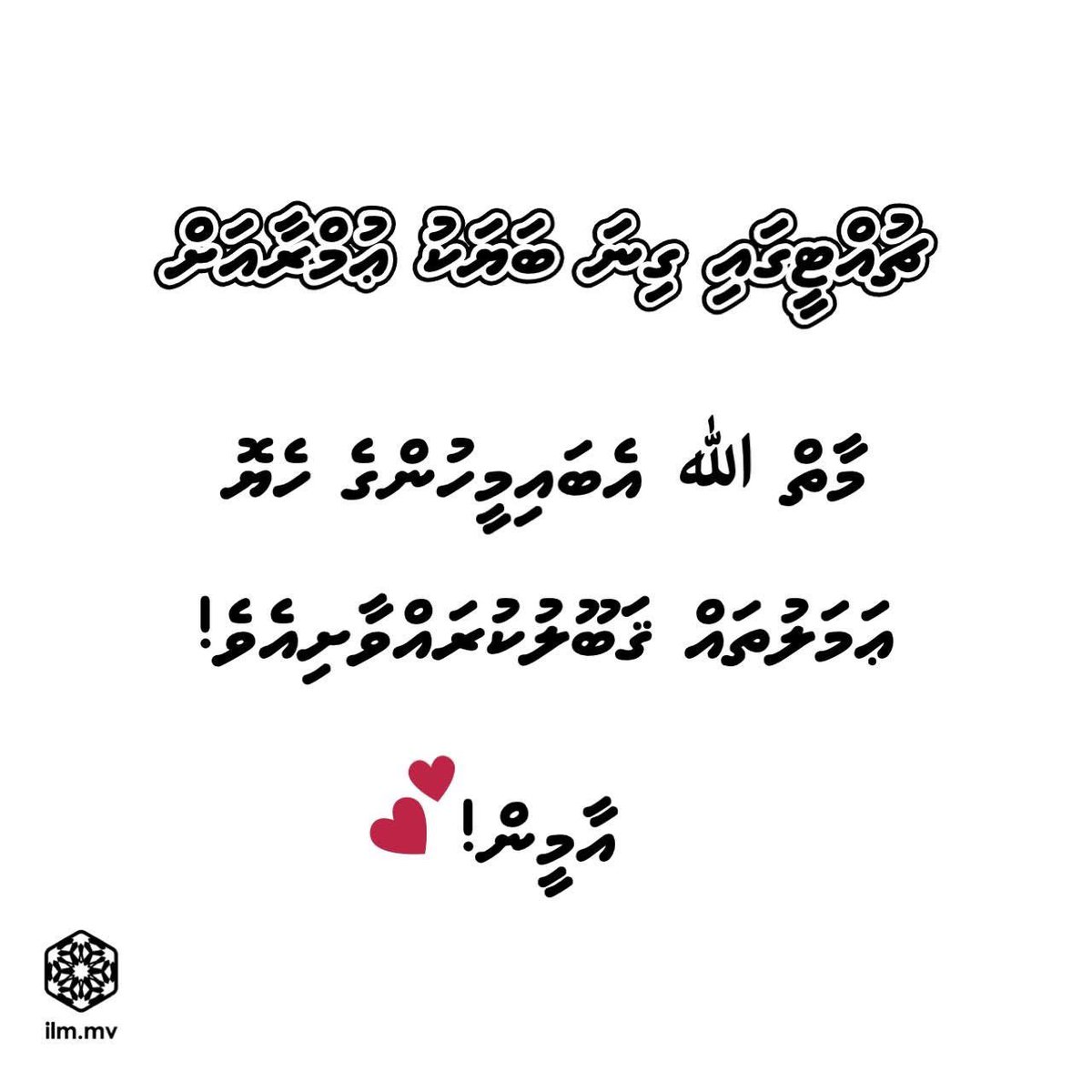 ilm_mv's tweet photo. https://t.co/vIszeFnURs