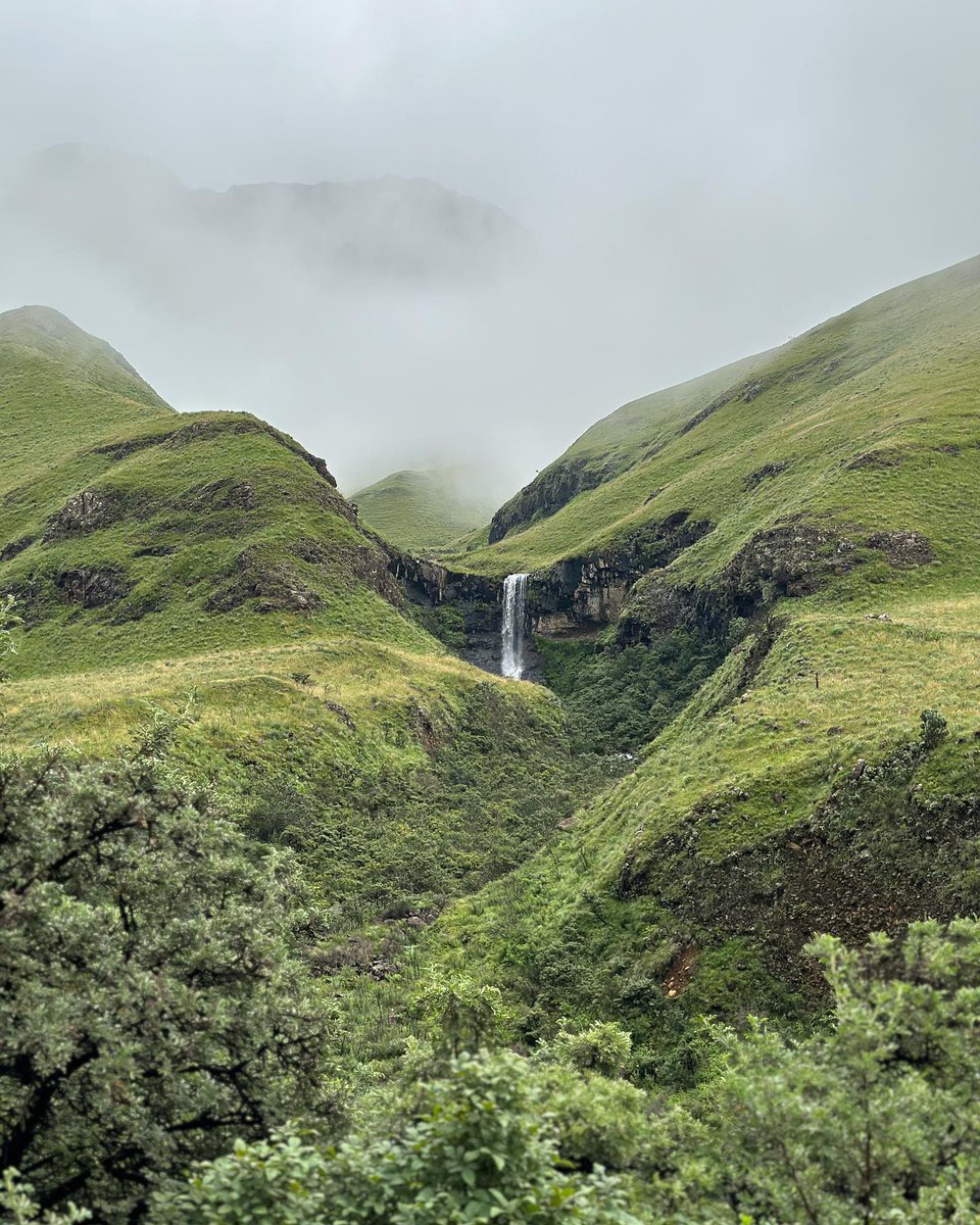 MohaleMoshoesh5's tweet image. Prime5050 Holdings 
Expanded Fleet with Flexible Choices**: Whether you’re planning a road trip, a business meeting, or a weekend getaway, our diverse range of vehicles – from eco-friendly hybrids to spacious SUVs ensures that you find the perfect match for your needs. 63258399