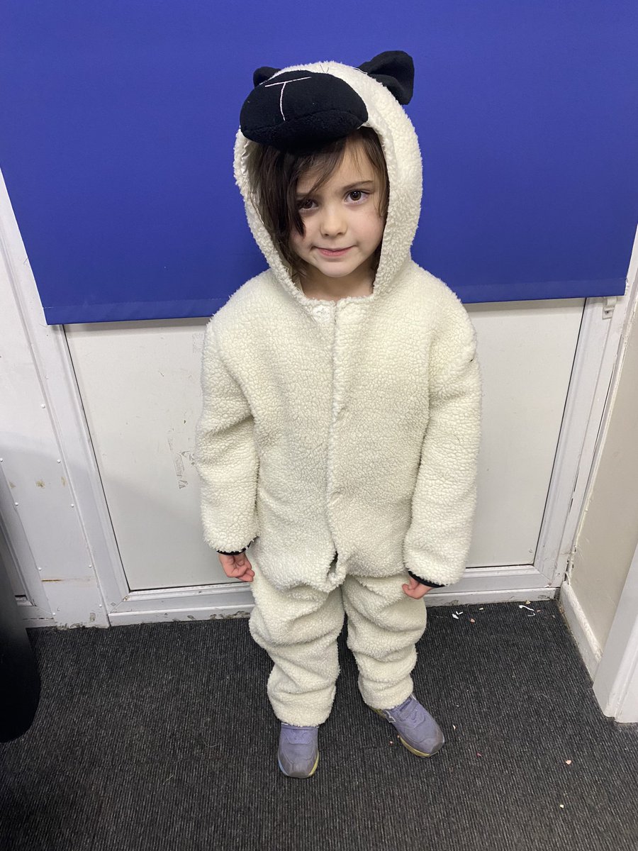 Year 1 Shoreside tweet media