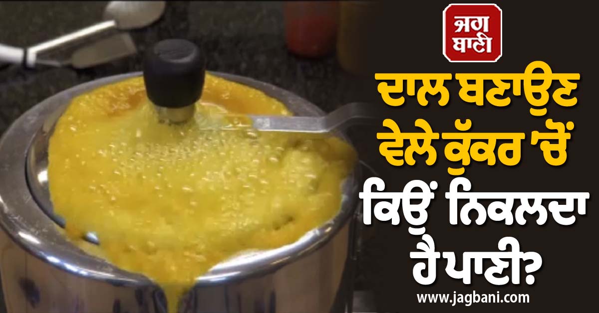 JagbaniOnline's tweet photo. ਦਾਲ ਬਣਾਉਣ ਵੇਲੇ ਕੁੱਕਰ ’ਚੋਂ ਕਿਉਂ ਨਿਕਲਦਾ ਹੈ ਪਾਣੀ? ਜਾਣੋ ਕੀ ਹੈ ਕਾਰਨ
https://t.co/U12Wzv4BLG
#Lifestyle #Food #PressureCooker #Dal #CookerLeaking #WhydoeswatercomeoutwhilemakingDal #knowthereason https://t.co/EQO2Q3G0FM