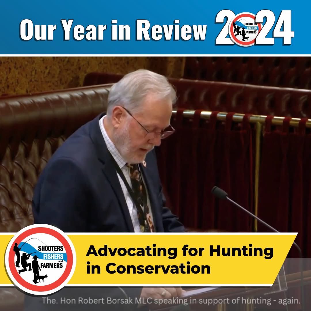 SFF Australia tweet media