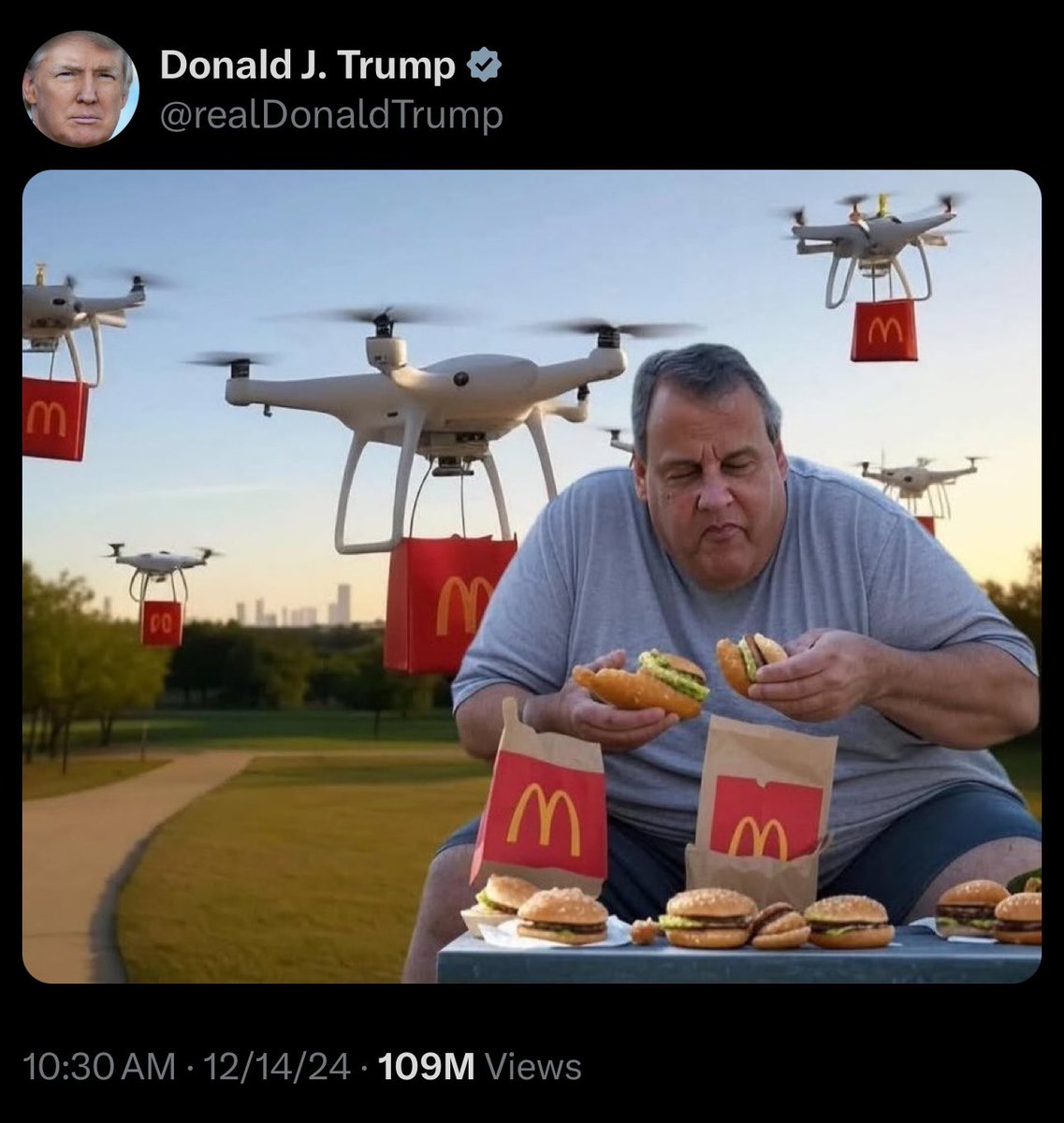 <a href="/elonmusk/">Elon Musk</a> Donald Trump figured it out. They’re the new McDonalds delivery drones delivering McDonald’s to all our enormous politicians